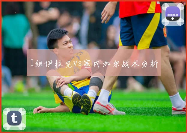 I组伊拉克vs塞内加尔战术分析