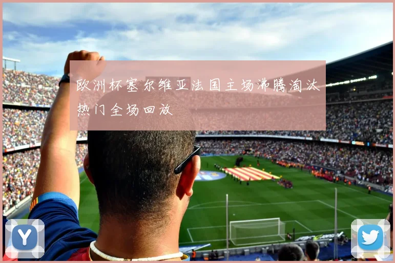 欧洲杯塞尔维亚法国主场沸腾淘汰热门全场回放