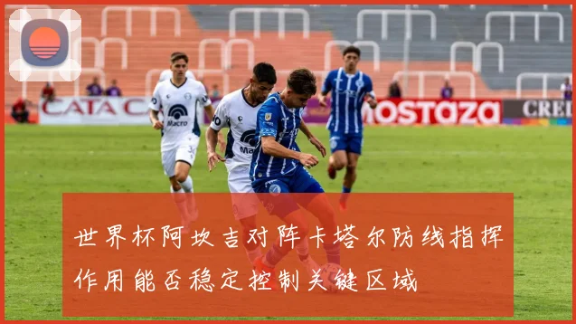世界杯阿坎吉对阵卡塔尔防线指挥作用能否稳定控制关键区域