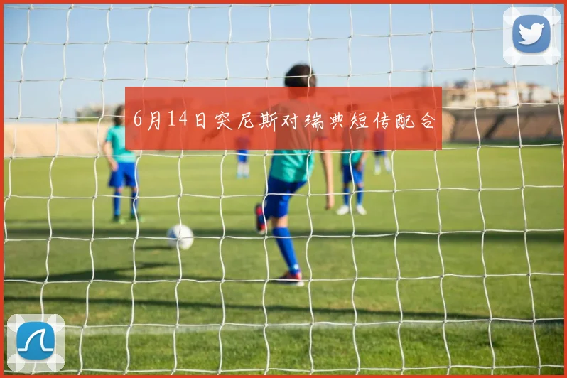 6月14日突尼斯对瑞典短传配合