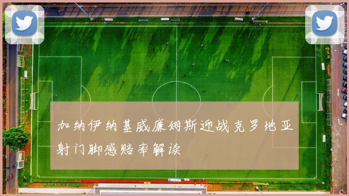 加纳伊纳基威廉姆斯迎战克罗地亚射门脚感赔率解读