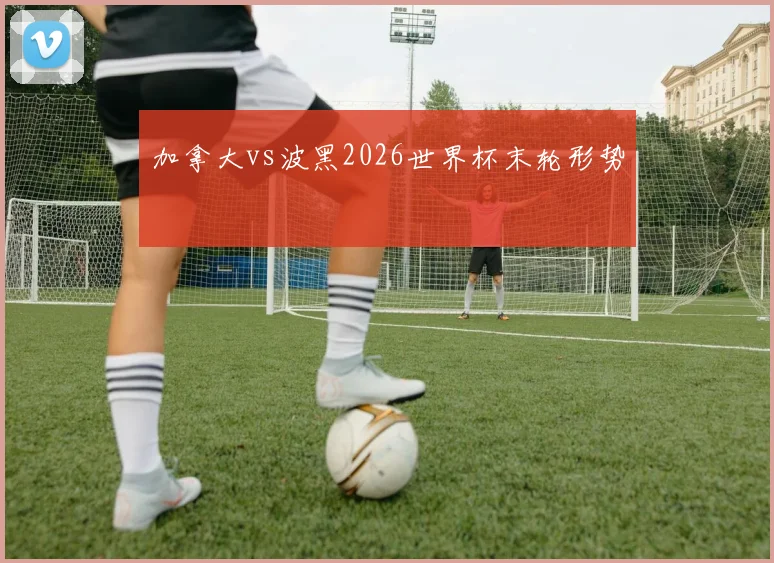 加拿大vs波黑2026世界杯末轮形势
